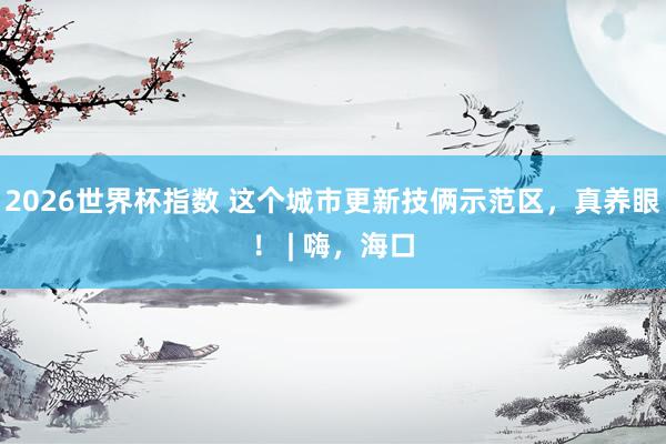 2026世界杯指数 这个城市更新技俩示范区，真养眼！ | 嗨，海口