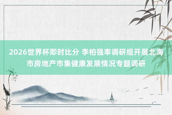 2026世界杯即时比分 李柏强率调研组开展北海市房地产市集健康发展情况专题调研