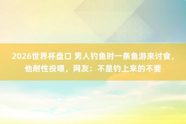 2026世界杯盘口 男人钓鱼时一条鱼游来讨食,他耐性投喂,网友:不是钓上来的不要