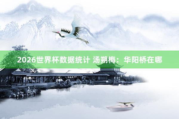 2026世界杯数据统计 汤朔梅：华阳桥在哪