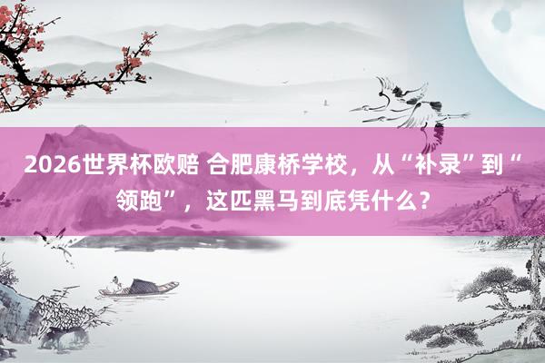 2026世界杯欧赔 合肥康桥学校，从“补录”到“领跑”，这匹黑马到底凭什么？