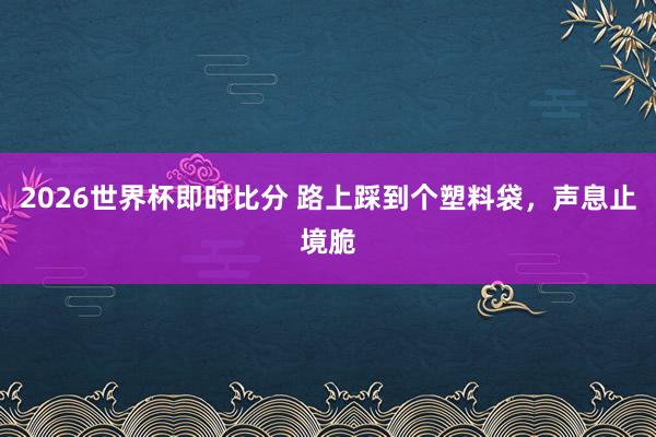 2026世界杯即时比分 路上踩到个塑料袋，声息止境脆