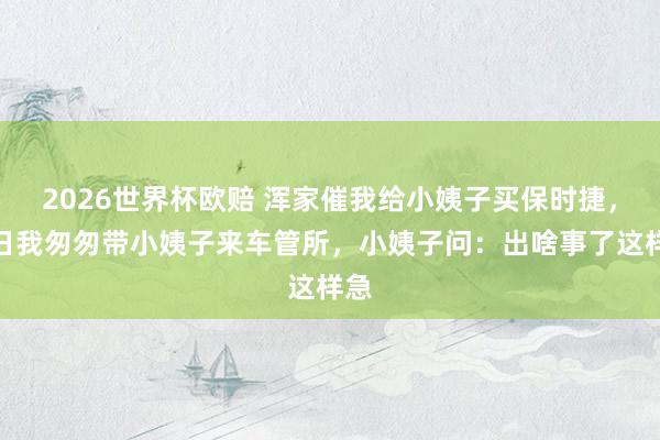 2026世界杯欧赔 浑家催我给小姨子买保时捷,本日我匆匆带小姨子来车管所,小姨子问:出啥事了这样急