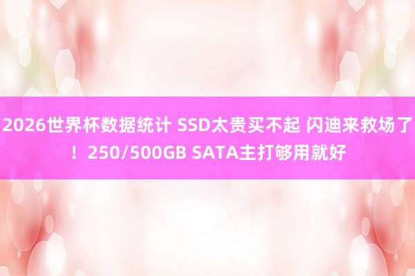2026世界杯数据统计 SSD太贵买不起 闪迪来救场了!250/500GB SATA主打够用就好