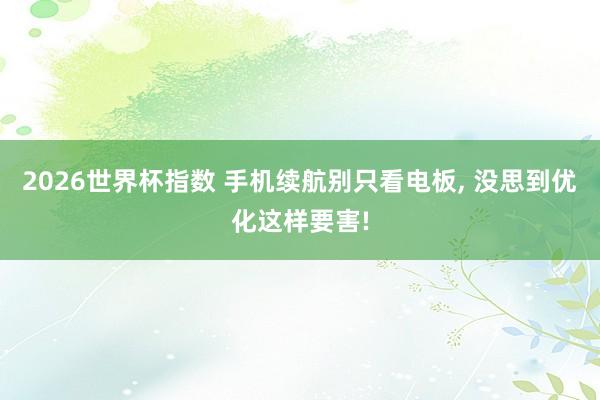 2026世界杯指数 手机续航别只看电板， 没思到优化这样要害!