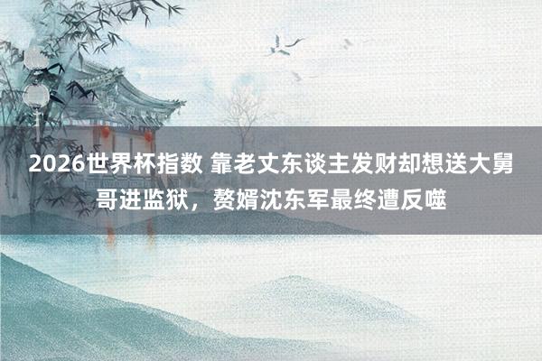 2026世界杯指数 靠老丈东谈主发财却想送大舅哥进监狱,赘婿沈东军最终遭反噬