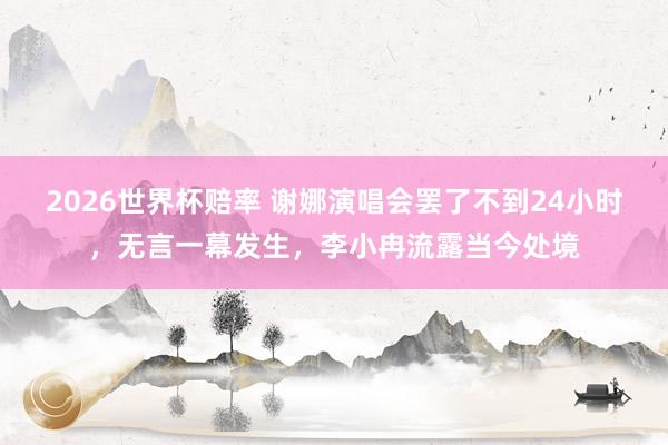 2026世界杯赔率 谢娜演唱会罢了不到24小时，无言一幕发生，李小冉流露当今处境