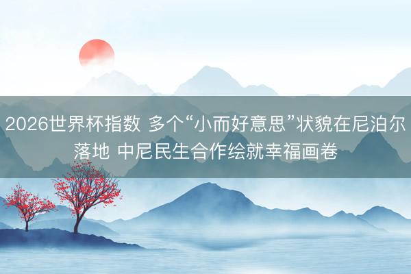 2026世界杯指数 多个“小而好意思”状貌在尼泊尔落地 中尼民生合作绘就幸福画卷