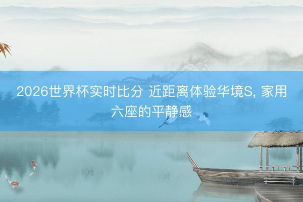 2026世界杯实时比分 近距离体验华境S， 家用六座的平静感